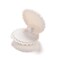 Generic Cute Shell Velvet Gift Box Ring Pendant Jewelry Earrings Storage Display Case